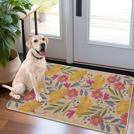 Door Mat-Non-Slip Rubber Back Welcome Mat for Front Door,Indoor Outdoor Entryway,Durable & Absorbent Low Profile Doormat for Home Entrance,Flower 17x30 in