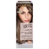 L'Oreal Paris Le Color Gloss One Step Brillo tonificante para