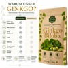 Premium Ginkgo Biloba Leaves 50 g | 100% Pure, Raw,
