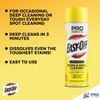 Easy Off Professional Oven & Grill Cleaner Can