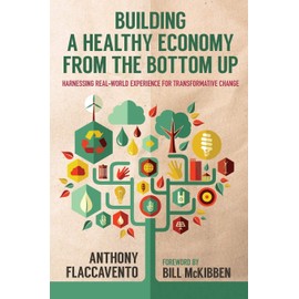 Building a Healthy Economy from the Bottom Up Harnessing Real World Experience for Transformative Change