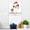 Magnet & Steel Lhasa Apso Modern 2022 Calendar