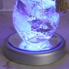 NKLS-3SL Luminous Coaster [Round Shape for Herbarium (Silver)] Display Figure