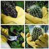 GLOSAV Gardening Gloves Thorn Proof for Rose Pruning & Cactus