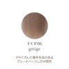 TOY's x INITY T-CP06 Gurege Acrylic Color Powder 0.2 oz