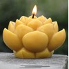 Sunbeam Candles Beeswax Lotus Flower