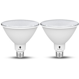 2 Pack High Power Outdoor PAR38 20W 250 Watt Equivalent 2800 Lumens Dimmable LED Flood Light Bulb Super Bright Waterproof E26 5000K Daylight Spotlight Bulbs for Security Backyard Garage Night Chaser