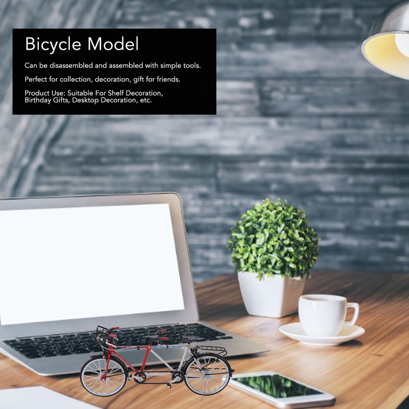Bicycle Model Tandem Bicycle 1/10 Simulation Bike Detachable for Boys