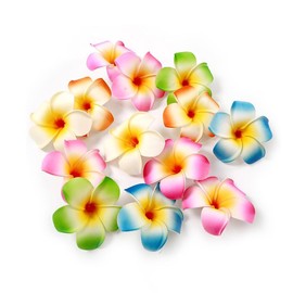 10 Pcs Colorful Hawaii Plumeria Flower Clips Hawaiian Flower Hair Barrettes Beach Party Hair Clips Artificial Tropical Flower Hairpins for Wedding Hair Clips Personal Care