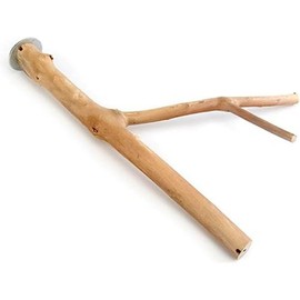 Bainbridge Multi Branch Bird Perch, 30 x 2.5 cm Size