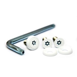 Pintorux Sara Stainless Steel (White) License Plate Bolts 3 Piece & Tool Set M6 x 20