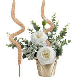 Genérico Tutor para Plantas Trepadoras, Poste De Musgo Plegable, Poste Flexible Y Reutilizable De Fibra De Coco, Musgo Y Palmeras Trepadoras, para Plantas, Enredaderas, Jardín Patio