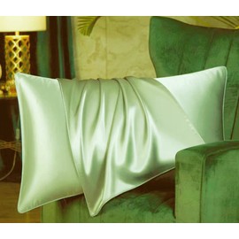 Double-Sided Luxury Mulberry Silk Cushion Cover 19 Momme Soft Breathable Hidden Zipper Closure 1pc/Pack 100% Pure Natural Silk (Light Green, Standard 50x75cm)