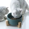 Ceramic Dog Cat Bowl Multipurpose Large Capacity Pet Bowl with