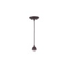 Westinghouse Lighting 70285, Oil Rubbed Bronze BRZ Mini Pendant Kit,