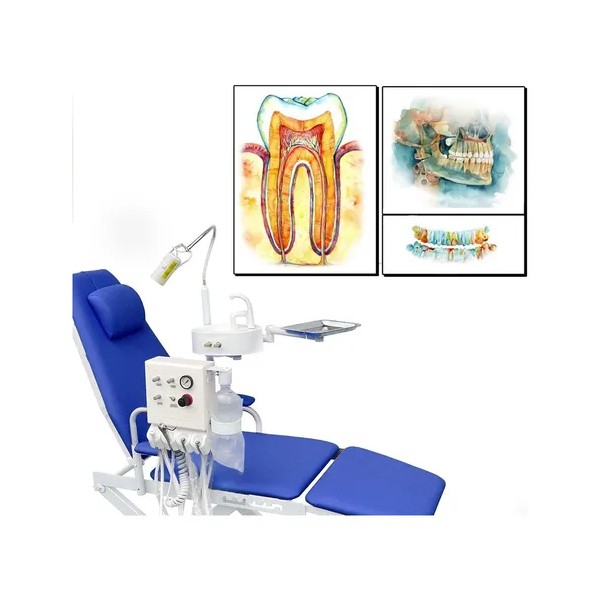 Cuadros Decorativos Dentista Odontología Dientes Modernos