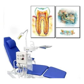 Cuadros Decorativos Dentista Odontología Dientes Modernos