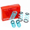Godspeed LS-TS-MC-0001 Traction-S Performance Lowering Springs, Improve Overall Handling And