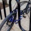DocksLocks Anti-Theft Weatherproof Coiled Security Cable with Reinforced Looped Ends