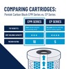 Pentair Pentek EPM-20BB Big Blue Carbon Water Filter, 20-Inch, Whole
