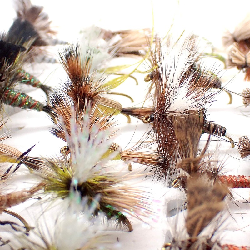 Colorado Fly Supply Fly Fishing Flies - Amy's Ant Foam