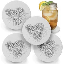 Pinecones Absorbent Drink Coasters (set of 4) - Made in USA