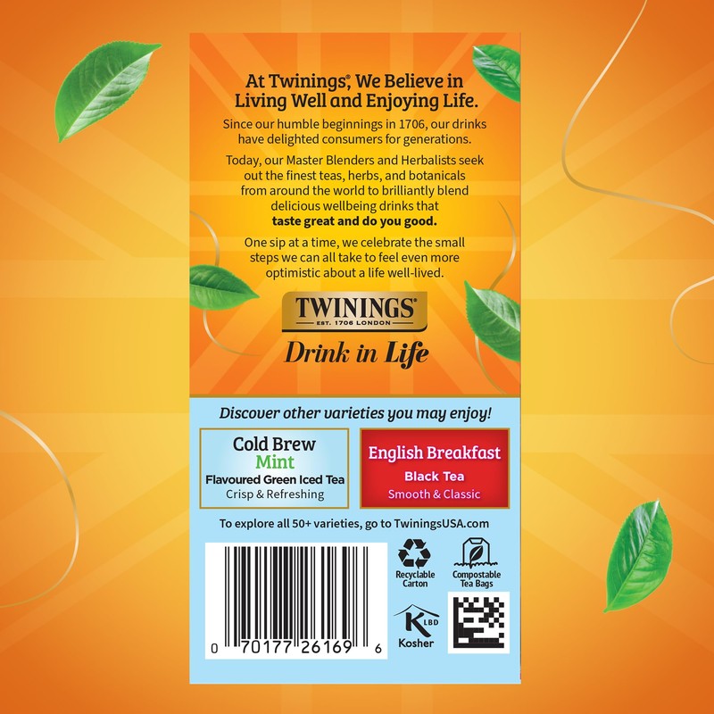 Twinings Mixed Berries Cold Brew Iced Tea Bags, 20 Count