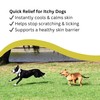 Natures Greatest Secret Antibacterial Soothing Itch Buster for Dogs 250ml