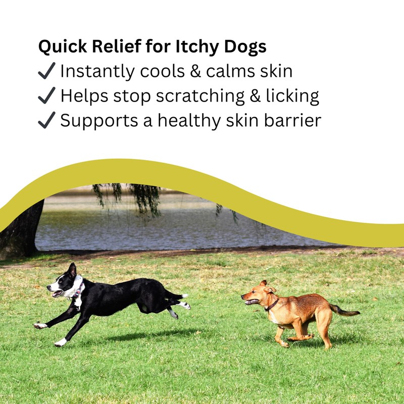 Natures Greatest Secret Antibacterial Soothing Itch Buster for Dogs 250ml