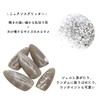irogel Nail Town Nail Art, Champagne Nude Glitter, Approx. 0.04