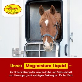Scheidler horse-direkt Scheidler horse-direkt Magnesium Liquid f??r Pferde 2500ml hochdosiert ?C Mit Tryptophan + Vitamin B-Komplex und Elektrolyten ?C Zur Beruhigung & Anti-Stress ?C Alternative zu Pulver/Pellets
