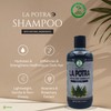 La Potra Cola de Caballo Shampoo Negro – 500ml |