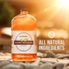 Scandia All Natural Sauna Wood Oil for Restoring and Protecting