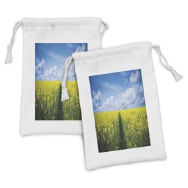 Ambesonne Yellow Flower Fabric Pouch Set of 2, Pathway Through Meadow of Canola Flowers with Clear Blue Sky Farmland Field, Small Drawstring Bag for Toiletries Masks and Favors, 9" x 6", Yellow Blue