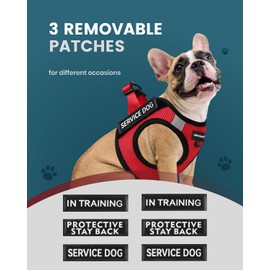 FAYOGOO Service Dog Vest for Small Dogs - Lightweight Dog Harness with 6PCS Removable Patches - Puppy Harness and Leash Set for Walking,Training