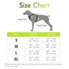 rabbitgoo Dog Harness, No-Pull Pet Harness with 2 Leash Clips,