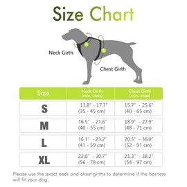 rabbitgoo Dog Harness, No-Pull Pet Harness with 2 Leash Clips, Adjustable Soft Padded Dog Vest, Reflective No-Choke Pet Oxford Vest with Easy Control Handle for Small Breeds, Green, S