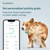 Whistle Health Smart Device | Dog Health and Fitness Tracker