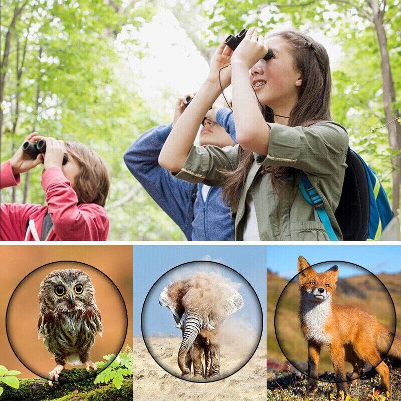 AIMALL Day Night Vision Binoculars 30 x 60 Outdoor Travel