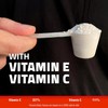 Premium Hydration Powder for Carnivore Diet - Balanced Electrolyte Support,