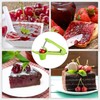 Cherry Pitter Tool Cherry Jam Core Remover with Space Saving
