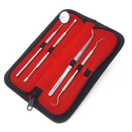 Dental Animal Tooth De-Scaler Dog Cat Oral Care Pets Hygiene Stainless Steel Instruments (Set of 4pc with case)