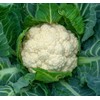 Amazing White Cauliflower Premium Seeds for Planting Packet Great for
