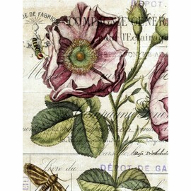 Botanical Theme Mulberry Rice Paper, 20.5 x 26.5cm - 6 x Different Printed Mulberry Paper Images 30gsm Visible Fibres for Decoupage Crafts Mixed Media Collage Art