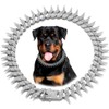 Pimaodog Dog Chain Collar, Side Spiked Style Necklace Bling Diamond