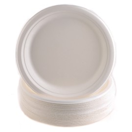 EcoQuality 9 inch Plates 100% Compostable - Natural Sugarcane Biodegradable Compostable Bagasse Bamboo Environmentally Friendly - Plates for Dessert, Appetizers, Birthdays, Microwavable (100)