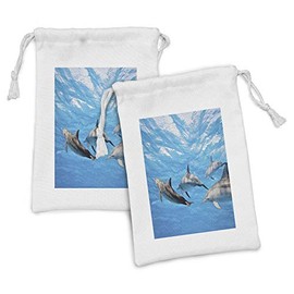 Ambesonne Dolphin Fabric Pouch Set of 2, Underwater Photography of Dolphins Happily Swimming Ocean Animal Life Image Print, Small Drawstring Bag for Toiletries Masks and Favors, 9" x 6", Blue Grey