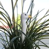 Tangoo Small Ceramic Goose Midi White with Metal Pin Approx.