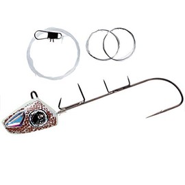 Hayabusa SW409 Tenya SW409 Boat Tachiyo Tenya Fast-hanging Fluorine Coated Hook No. 30 #06 Hovering Squid SW409