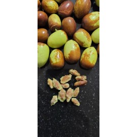 Fresh 5 seeds JUJUBE  chinese dates  seeds tasty ORGANIC ,fresh seeds